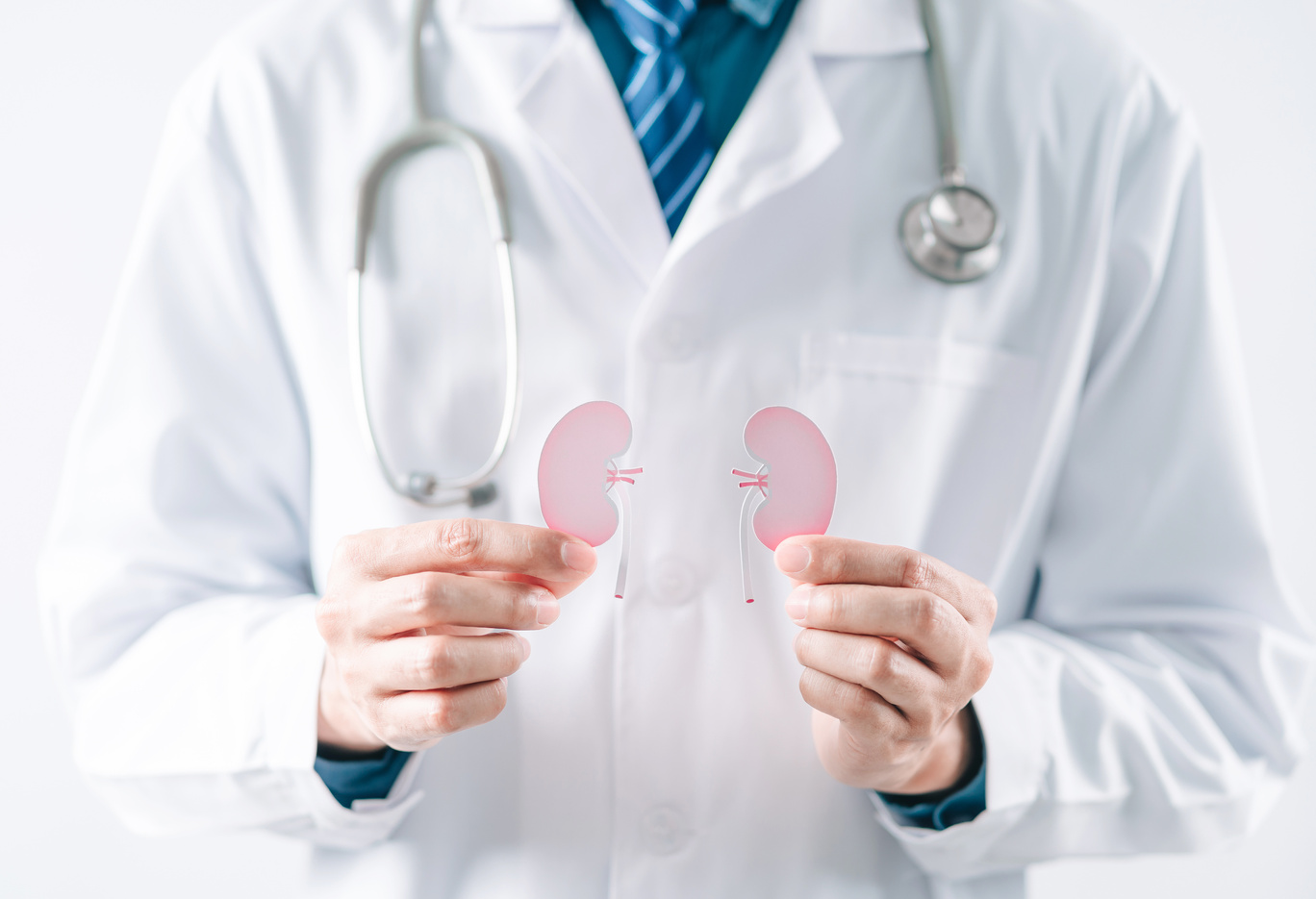 doctor in a white coat holding kidney organ paper cut, chronic k